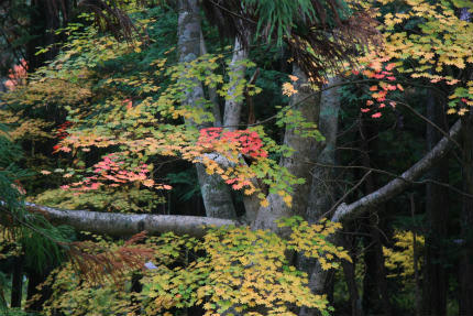 20101108_5.jpg