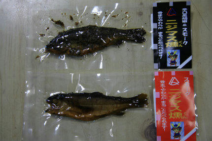 20101110_2.jpg