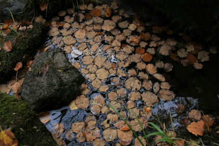 20101114.jpg