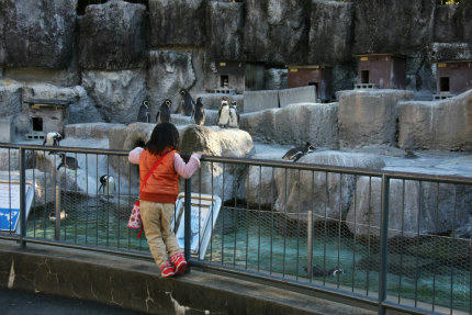 20101118_5.jpg