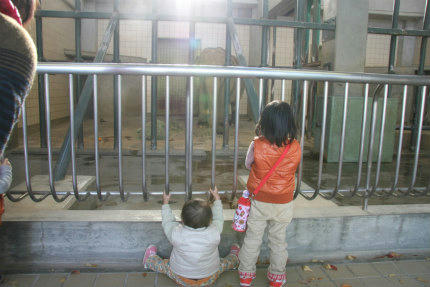 20101118_6.jpg