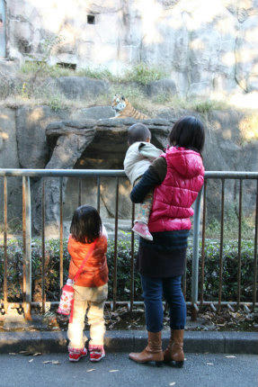 20101118_7.jpg