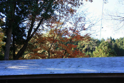 20101119_2.jpg