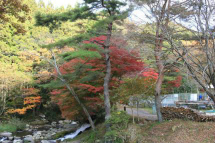 20101116_4.jpg