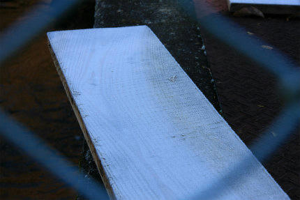 20101119_3.jpg