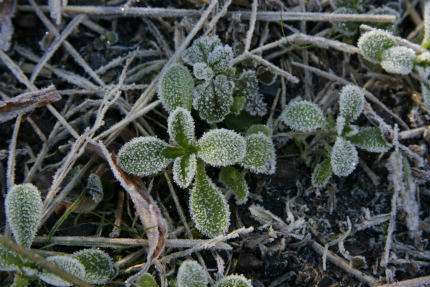 20101119_4.jpg