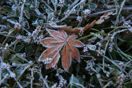 20101119_5.jpg