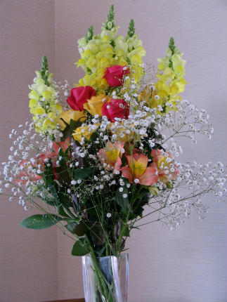 20101125_4.jpg