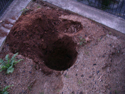 20101126_1.jpg