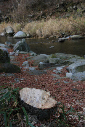 20101212_4.jpg