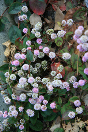 20101218.jpg