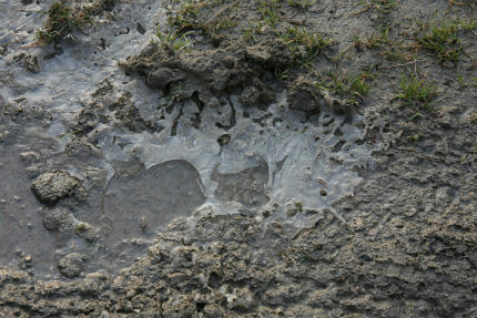20101226_1.jpg