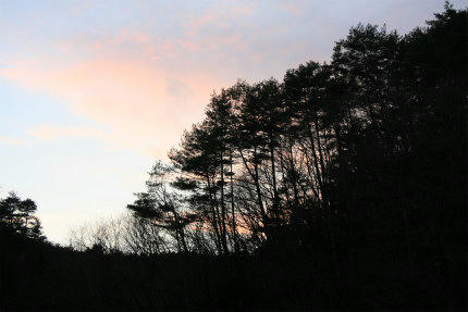 20101227.jpg