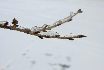 20110101_1.jpg
