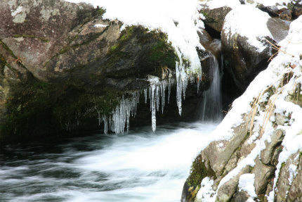 20110101_3.jpg