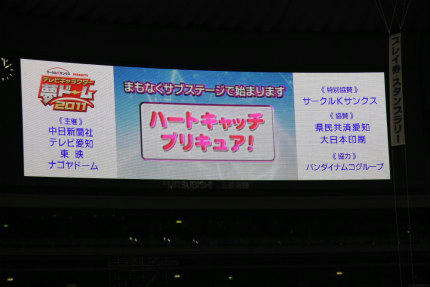 20110103_4.jpg