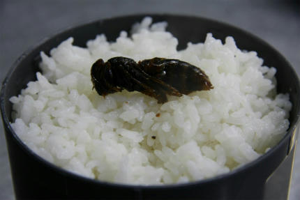 20110104_1.jpg