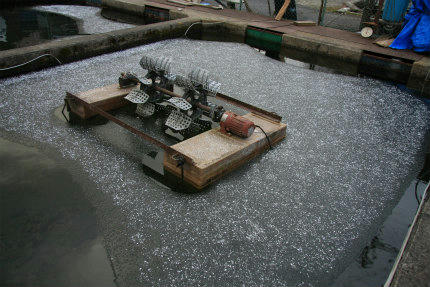 20110106.jpg