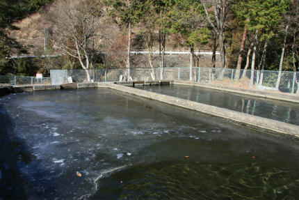 20110108_1.jpg