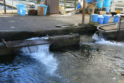 20110108_2.jpg
