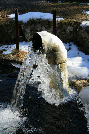 20110108_4.jpg