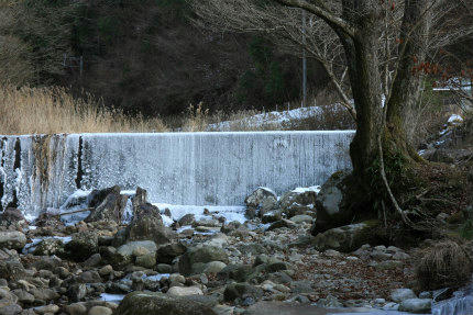 20110108_5.jpg