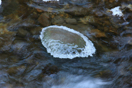 20110108_6.jpg