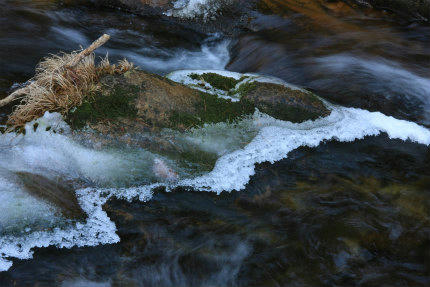 20110108_7.jpg
