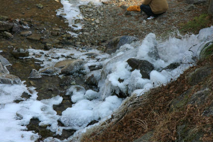 20110109_2.jpg