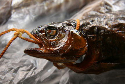 20110109_3.jpg