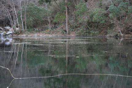 20110111.jpg