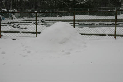 20110116.jpg