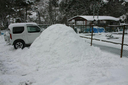 20110117_1.jpg