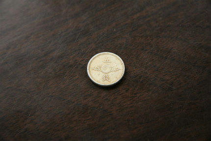 20110119_1.jpg
