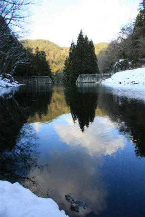20110119_3.jpg