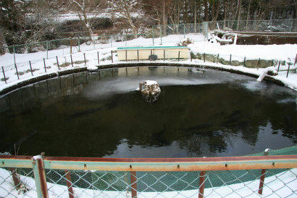 20110120_1.jpg