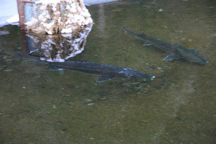 20110120_2.jpg