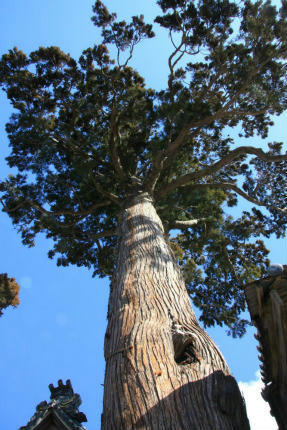 20110122_4.jpg
