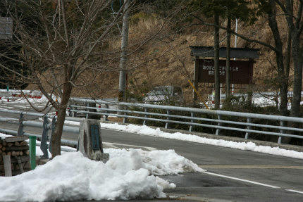20110125.jpg