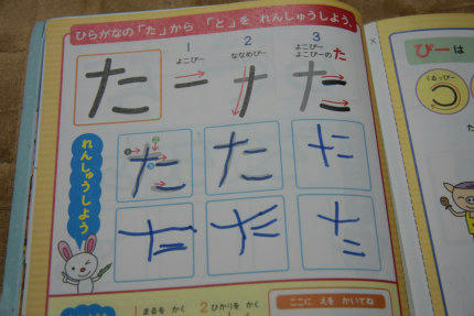 20110127.jpg