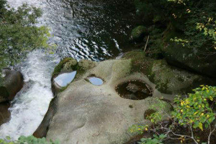 20110124.jpg