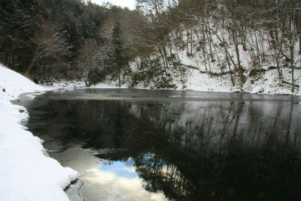 20110130_1.jpg