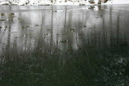 20110130_2.jpg