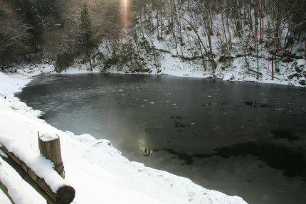 20110131_1.jpg