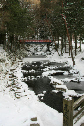 20110131_2.jpg