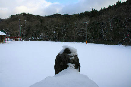 20110131_4.jpg