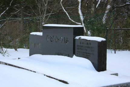 20110131_5.jpg
