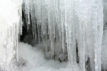 20110131_6.jpg