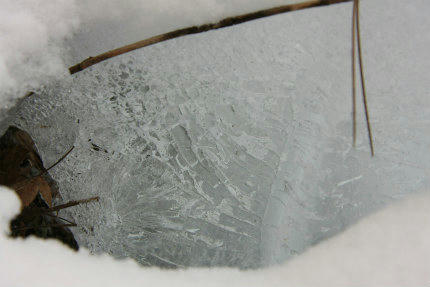 20110131_7.jpg