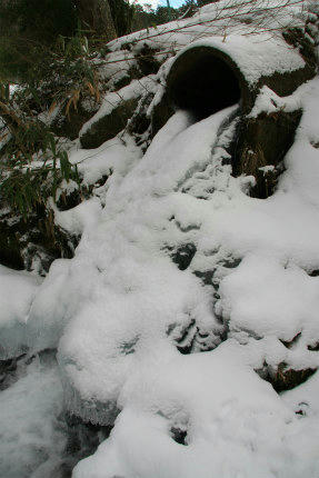 20110131_8.jpg
